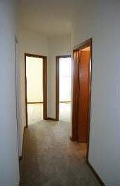 3rd image of 402 Stockton Dr