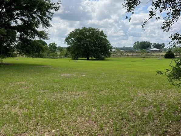  SW 17th Pl, Bell, FL 32619