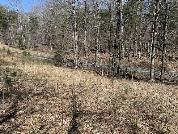 4th image of 0 Brigham Branch Rd