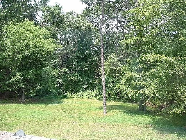 Nice wooded backyard