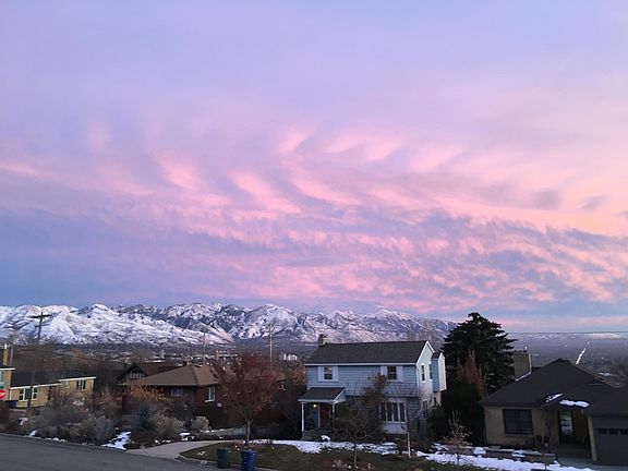 View from the living room