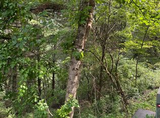 9 Laurelwood Ln, Mountain City, TN 37683