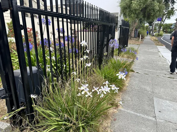 1605 Milvia St APT F, Berkeley, CA 94709