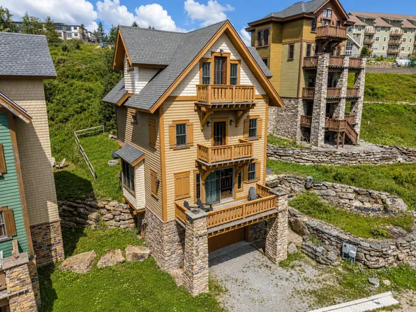 215 Meadows Dr, Snowshoe, WV 26209