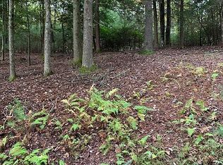 White Pine Trl, Suches, GA 30572