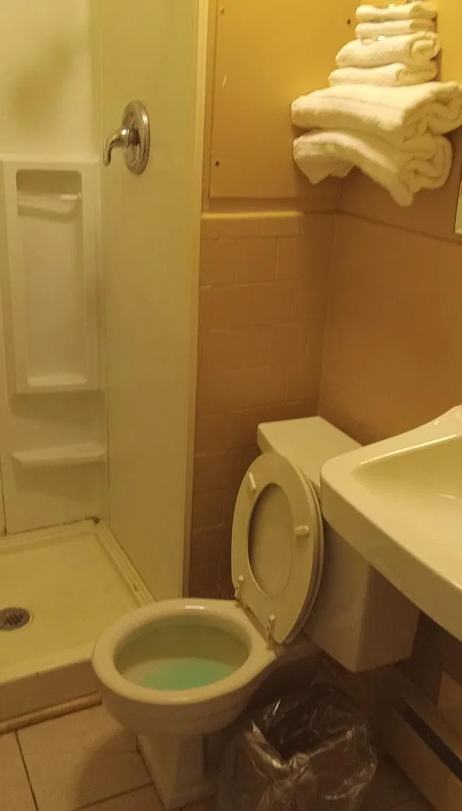 1 bed, 700 sqft, $1,000 — Photo 2