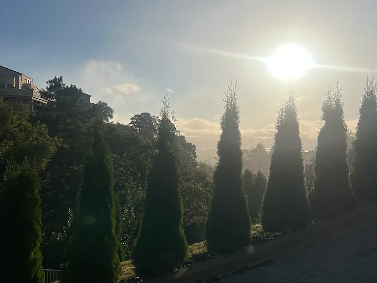 Fey Dr — Photo 12
