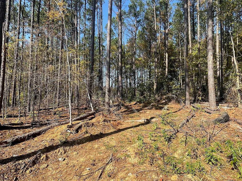 2nd image of Ella Ln Lot 18