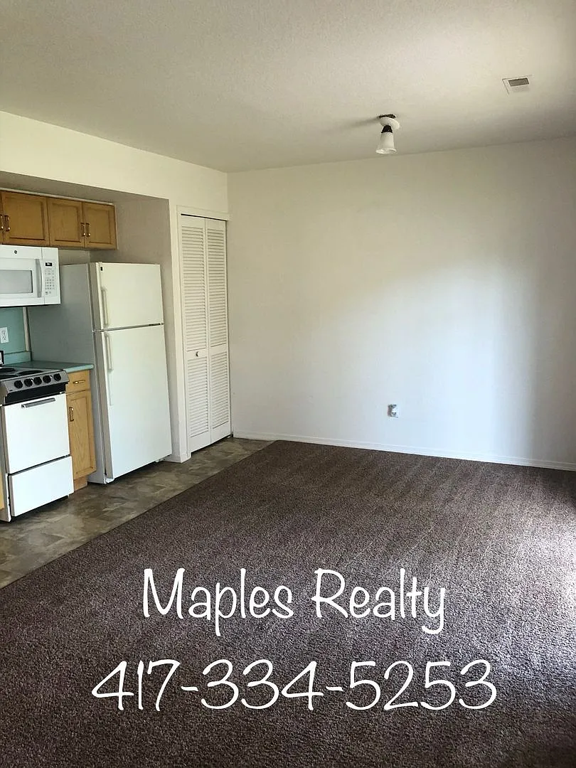 Walk-in Unfurnished 1 Bedroom / 1 Bath in Branson — Photo 3
