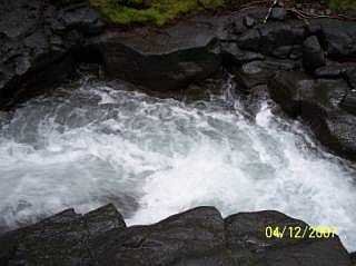 2nd image of Usfs 7550 #Tract 10