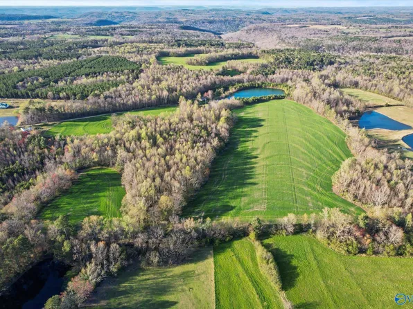 County Road 1908, Albertville, AL 35951