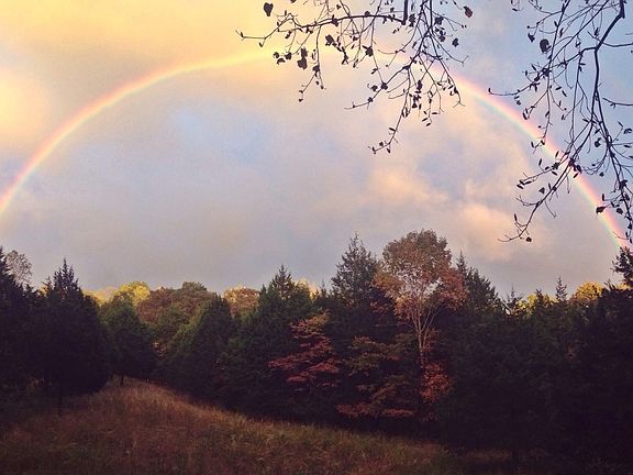 3rd image of 7061 E Plunders Creek Rd