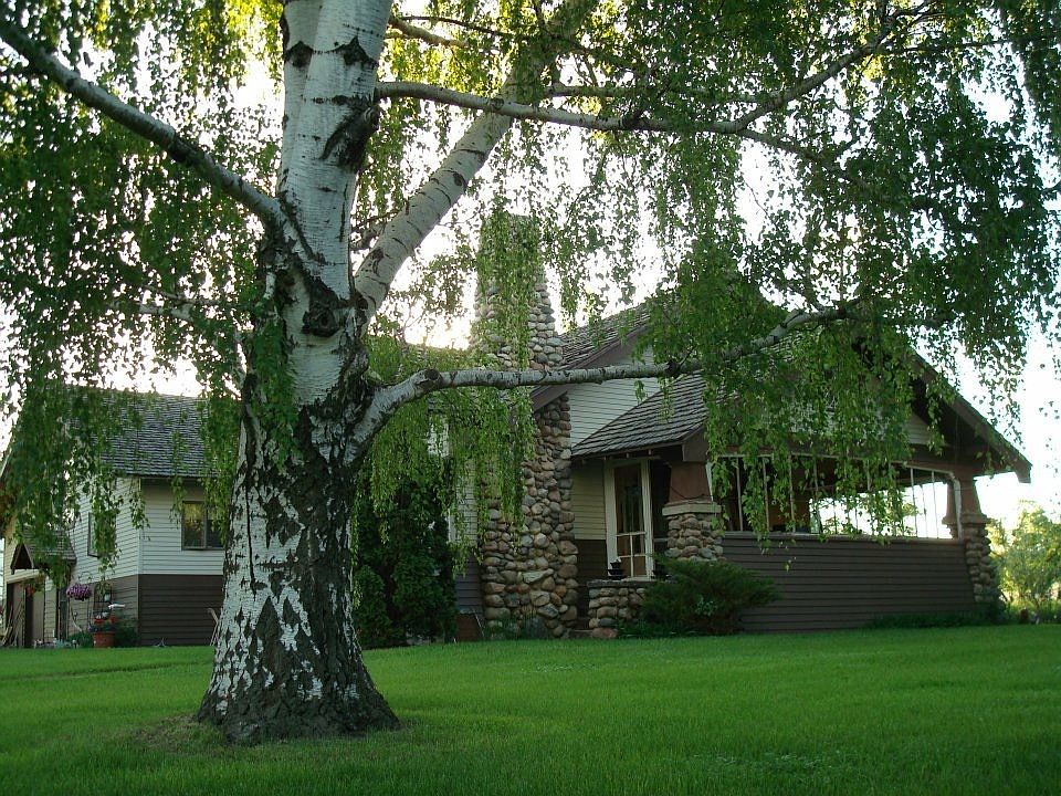 Yard from entrance. 