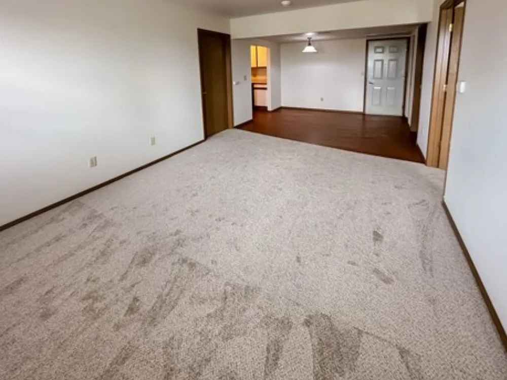 2018 Fletcher St #218 photo 1