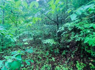 LOT 20 Owl Blf, Murphy, NC 28906