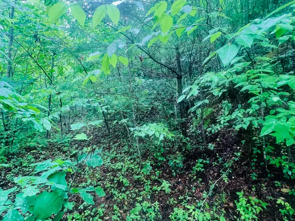 LOT 20 Owl Blf, Murphy, NC 28906