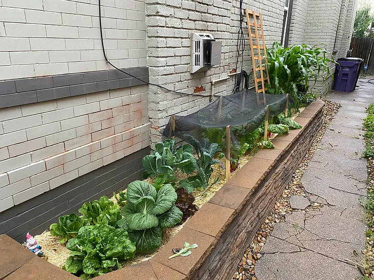 716 S Grant St — Photo 12