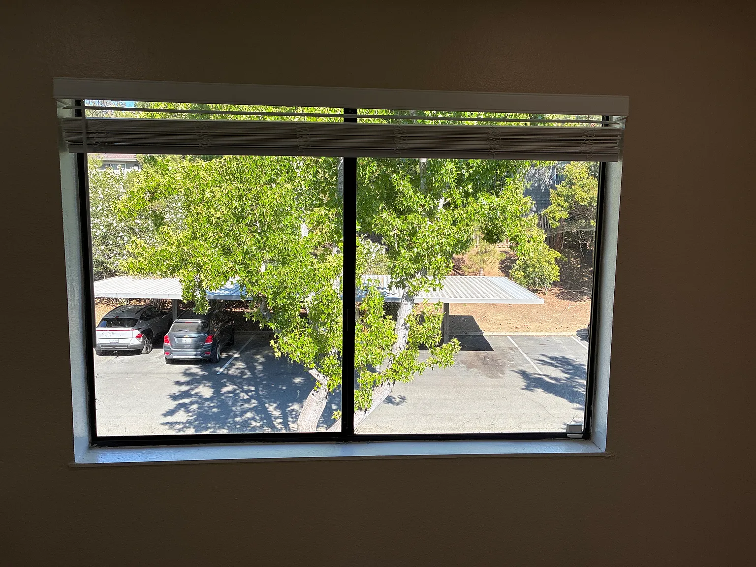 2 bed, 1087 sqft, $1,300 — Photo 4
