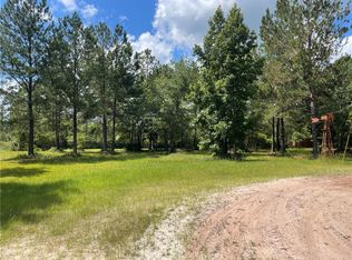 232 Daniel Rd, Waynesville, GA 31566