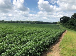 439 Shingler Little River Rd, Sumner, GA 31789