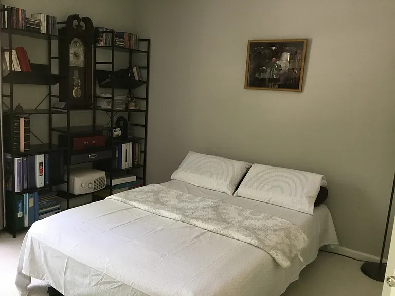 Bedroom 2 with a Queen size sofa bed, closet and tow bookshelves