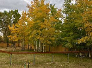 185 Ute Trl, South Fork, CO 81154