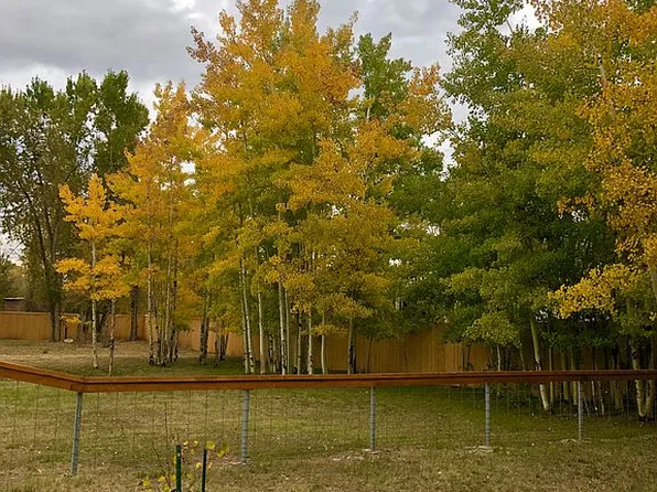 185 Ute Trl, South Fork, CO 81154