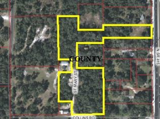 140 Collins Rd, Osteen, FL 32764