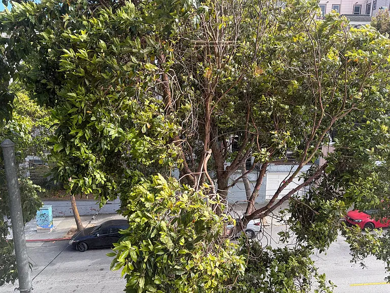 101 Broderick St #305 — Photo 7