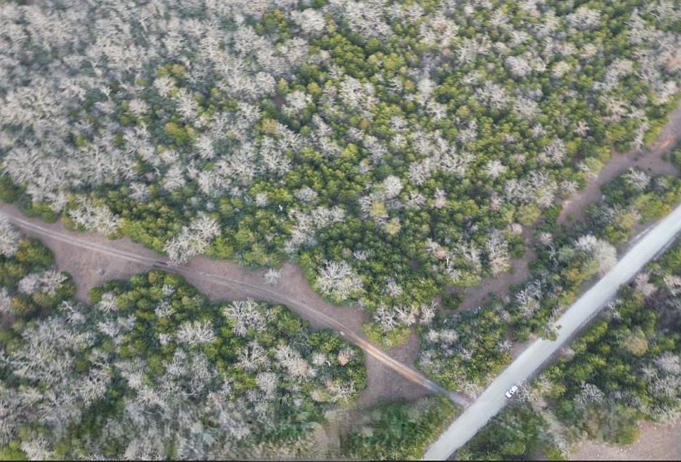 1st image of County Road 427