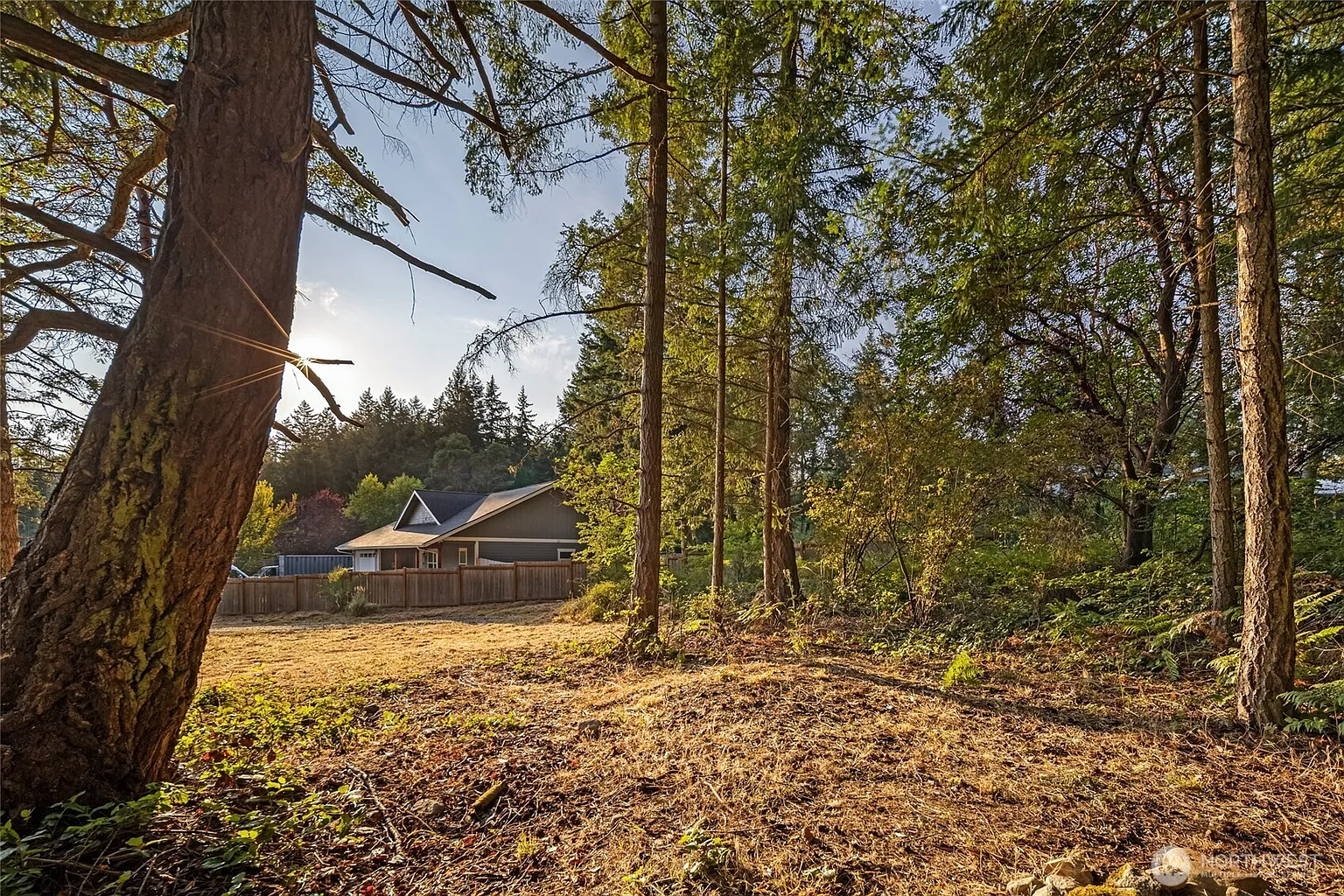 248 Browne Street photo 1