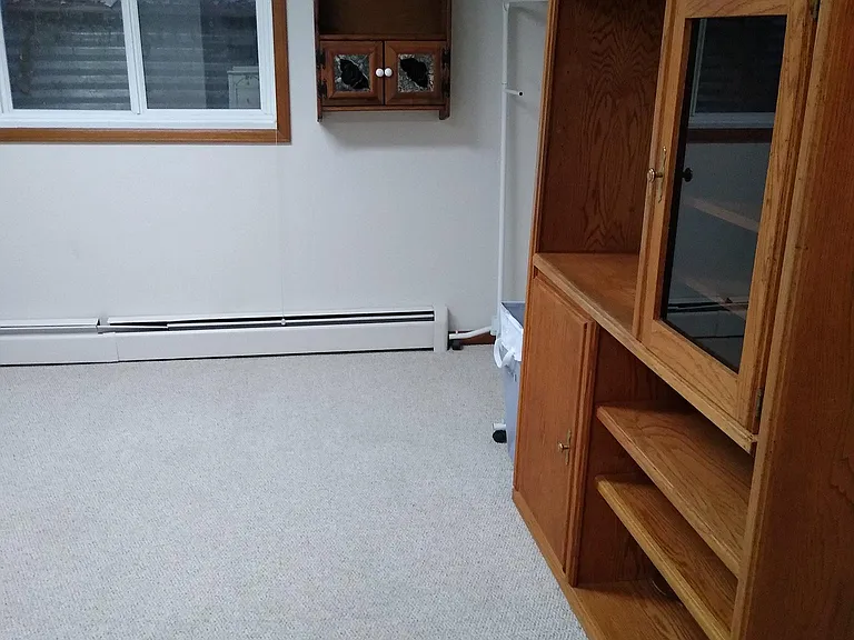 1940 Larkspur Dr #BASEMENT — Photo 12