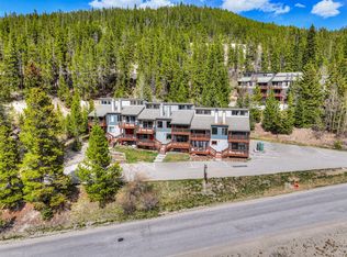 132 Illinois Gulch Road UNIT 3, Breckenridge, CO 80424