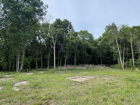 3rd image of 0 Old Nashville Dirt Rd