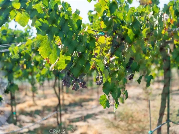 43900 Highway 79 #3, Aguanga, CA 92536