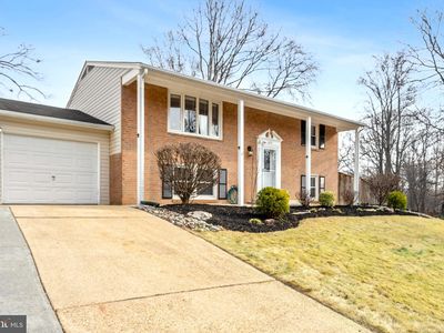 6819 Lavant Dr, Springfield, VA, 22152