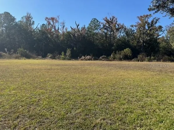 Lots Southwest Ct #229, Dunnellon, FL 34431