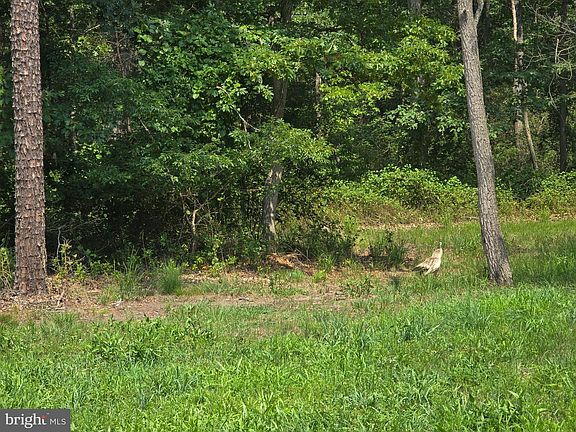 5th image of 450 Almond Rd