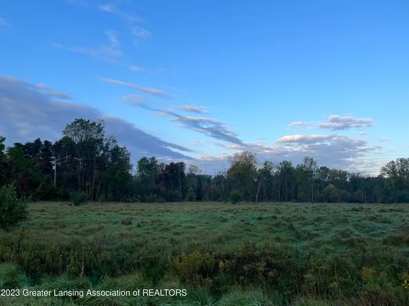 Vl Woodhull Rd, Laingsburg, MI 48848