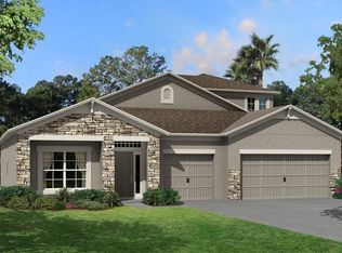 12173 Orchid Ash St, Riverview, FL 33579