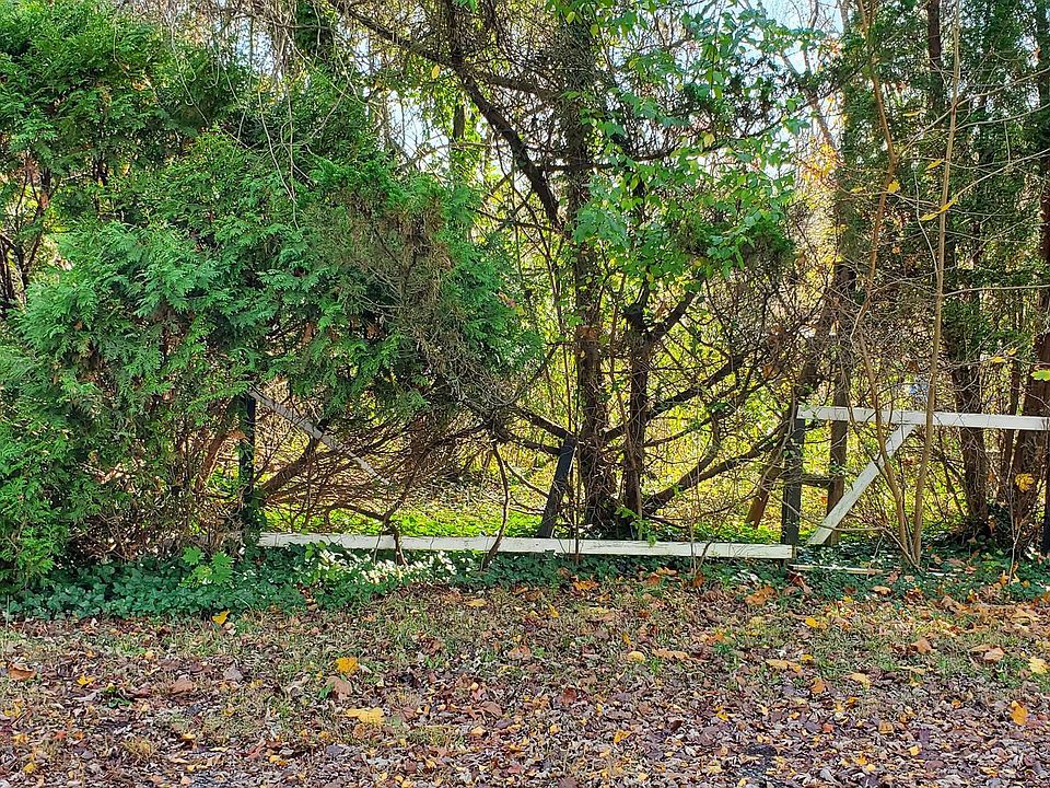 2nd image of 99 Wakashan Ln #4