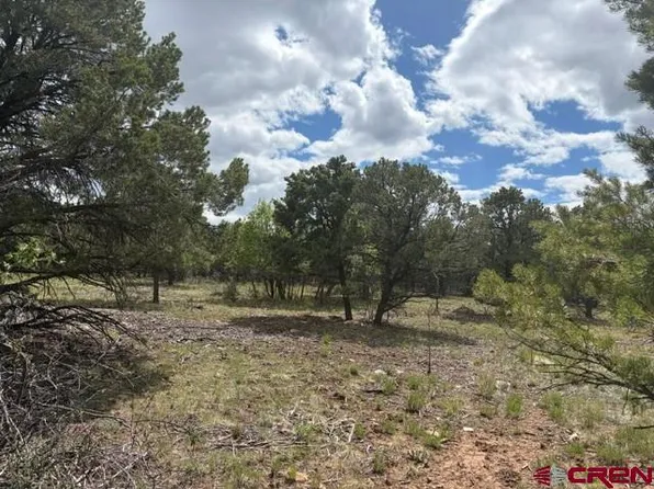 Lot 4 Tower Road North, Ridgway, CO 81432