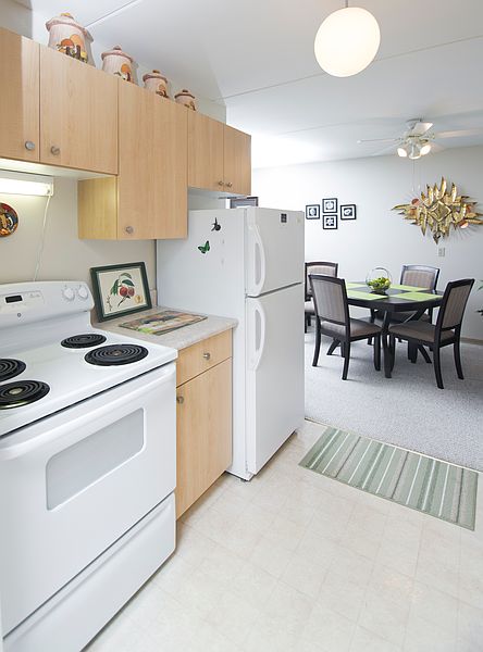 Winnipeg Apartment for rent - 1 Bedroom — photo 5