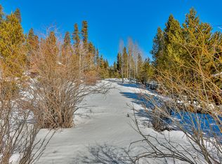 1168 Gcr Dr #494, Grand Lake, CO 80447