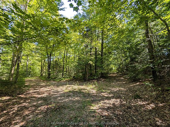 2nd image of 611 Bray Lake Rd