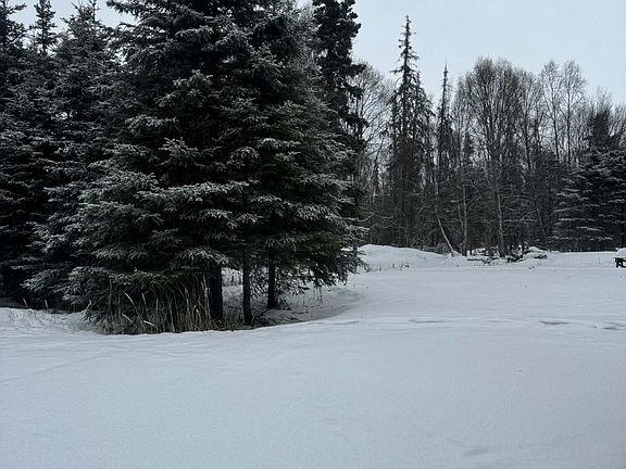 3rd image of 2815 Iliamna Rd