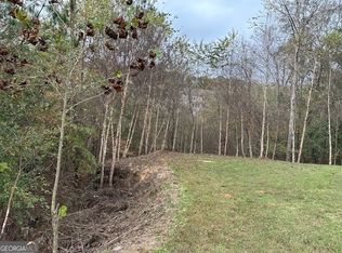 540 Broadmoor Dr, Braselton, GA 30517