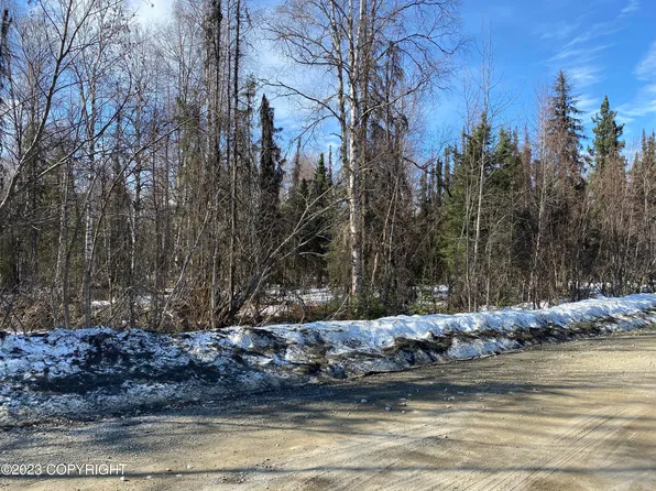 20256 W Twitty Ave, Willow, AK 99688