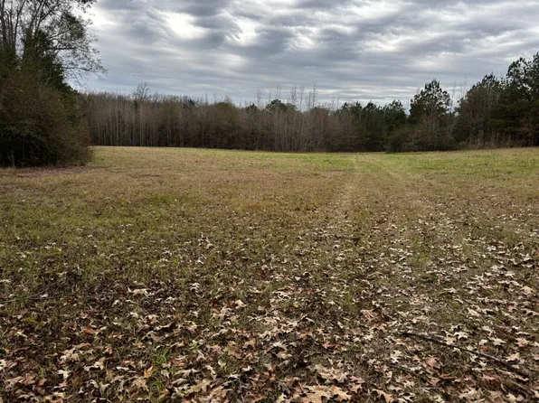 8735 Fernbank Rd, Millport, AL 35576