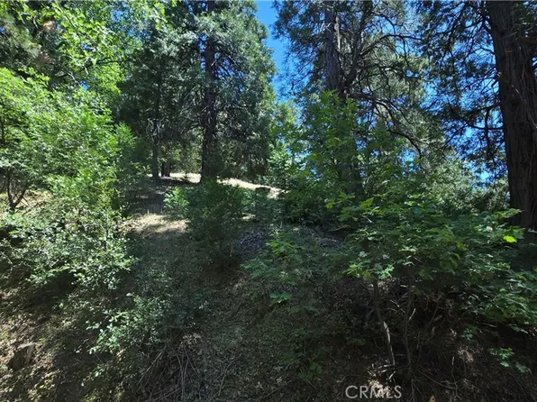 22494 Mojave River Rd #7, Cedarpines Park, CA 92322